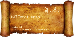 Mácsai Antal névjegykártya