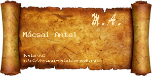 Mácsai Antal névjegykártya