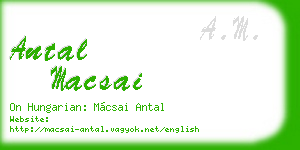 antal macsai business card